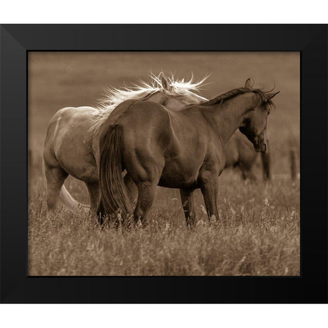 Horse Walk Black Modern Wood Framed Art Print by Linden, Sally