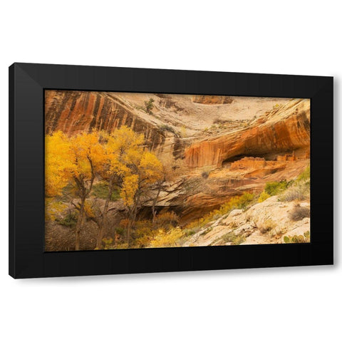 Anastzi Homeland Black Modern Wood Framed Art Print with Double Matting by Linden, Sally