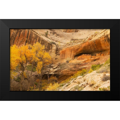 Anastzi Homeland Black Modern Wood Framed Art Print by Linden, Sally