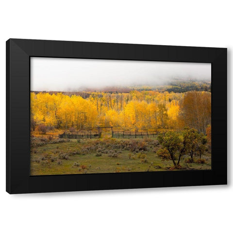 Fall and Fog Black Modern Wood Framed Art Print by Linden, Sally
