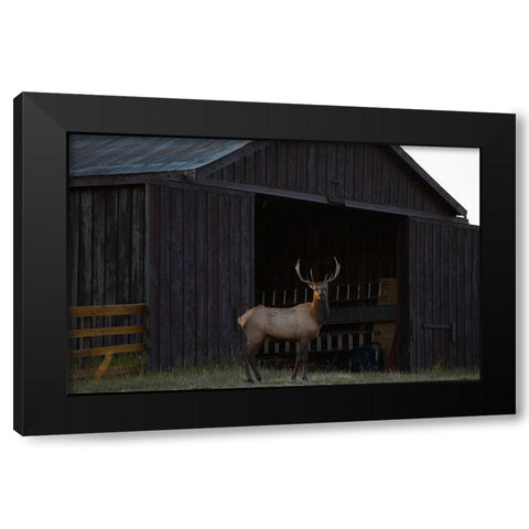 Eat Your Heart Out Hunters Black Modern Wood Framed Art Print by Linden, Sally