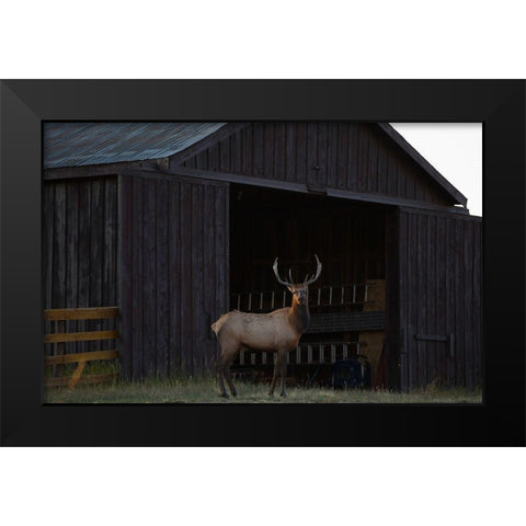 Eat Your Heart Out Hunters Black Modern Wood Framed Art Print by Linden, Sally
