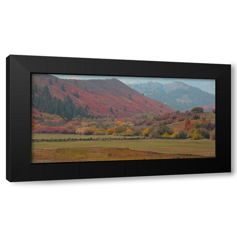 Fall and Sheep Black Modern Wood Framed Art Print with Double Matting by Linden, Sally