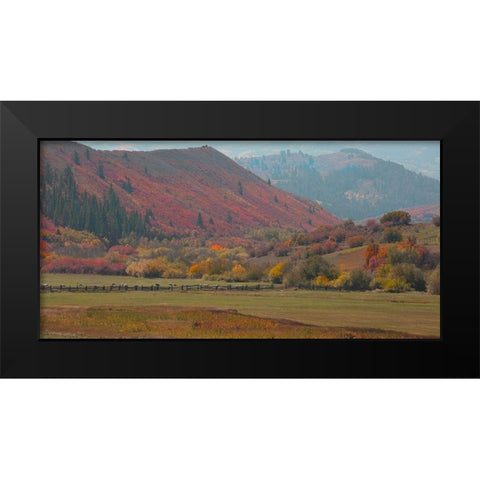 Fall and Sheep Black Modern Wood Framed Art Print by Linden, Sally