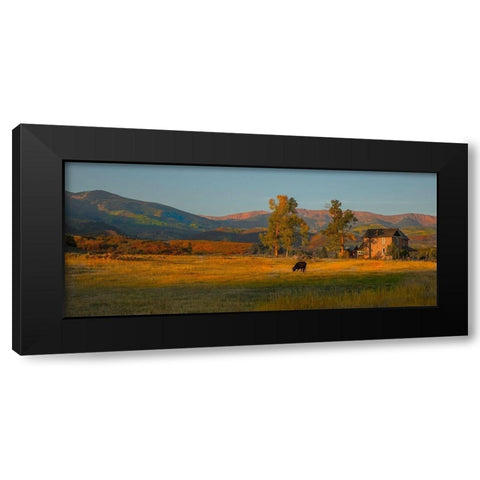 Fall Grazing Black Modern Wood Framed Art Print with Double Matting by Linden, Sally