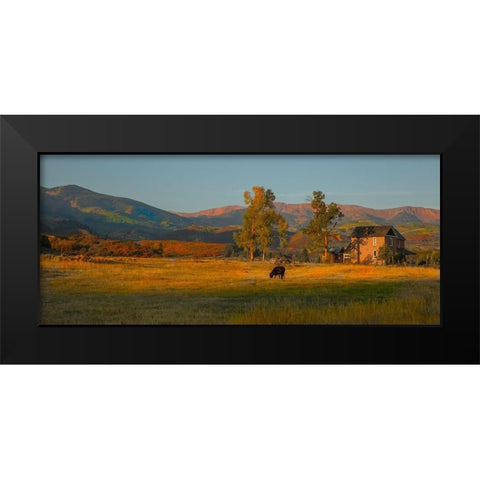 Fall Grazing Black Modern Wood Framed Art Print by Linden, Sally