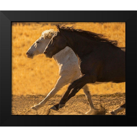 Horse Race Black Modern Wood Framed Art Print by Linden, Sally