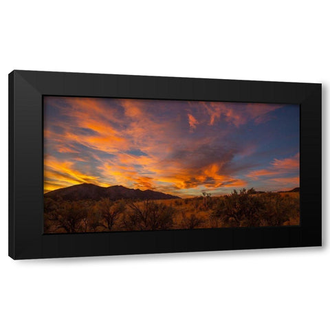 Looking At Hogbacks Black Modern Wood Framed Art Print with Double Matting by Linden, Sally