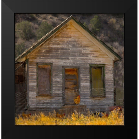 Rooster House Black Modern Wood Framed Art Print by Linden, Sally