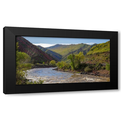 South Canyon Spring Black Modern Wood Framed Art Print with Double Matting by Linden, Sally
