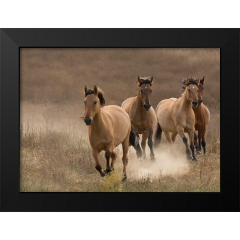 Wild Mares Black Modern Wood Framed Art Print by Linden, Sally