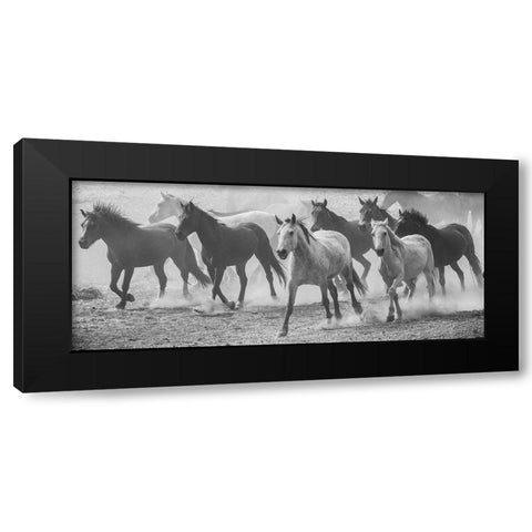 Running Wild Black Modern Wood Framed Art Print with Double Matting by Linden, Sally