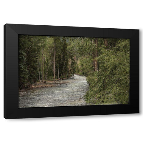 Winding River Black Modern Wood Framed Art Print by Linden, Sally