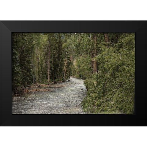Winding River Black Modern Wood Framed Art Print by Linden, Sally