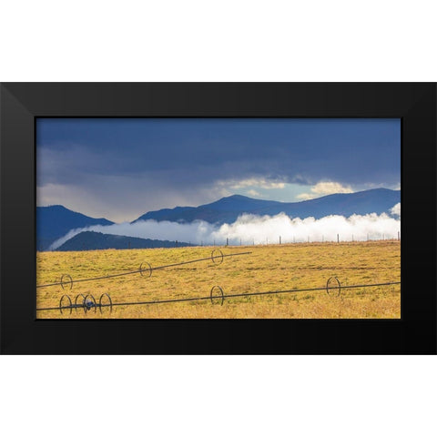 Irrigation Black Modern Wood Framed Art Print by Linden, Sally