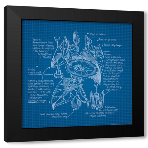 Blueprints 3 Black Modern Wood Framed Art Print with Double Matting by Nobleworks, Inc.