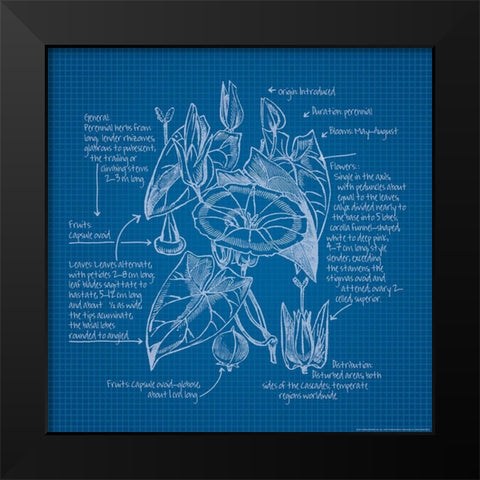 Blueprints 3 Black Modern Wood Framed Art Print by Nobleworks, Inc.