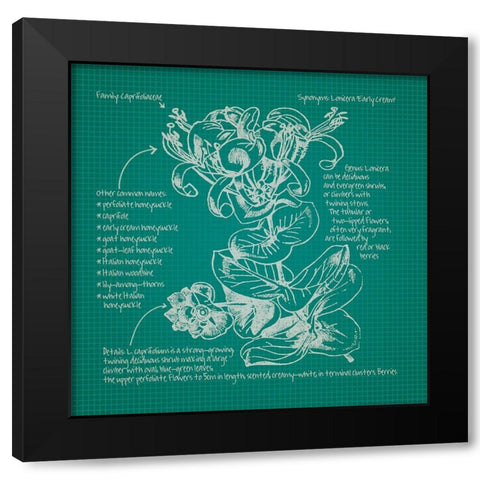 Blueprints 6 Black Modern Wood Framed Art Print by Nobleworks, Inc.
