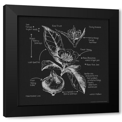 Blueprints 8 Black Modern Wood Framed Art Print by Nobleworks, Inc.