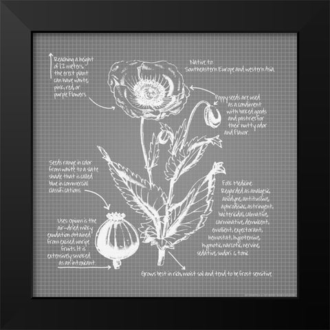Blueprints 9 Black Modern Wood Framed Art Print by Nobleworks, Inc.