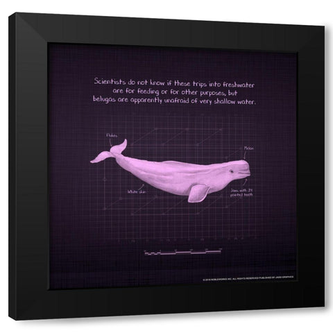 Whaleprint 1 Black Modern Wood Framed Art Print by Nobleworks, Inc.