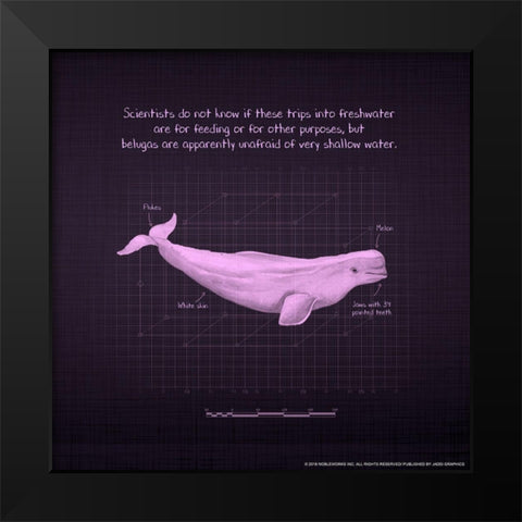 Whaleprint 1 Black Modern Wood Framed Art Print by Nobleworks, Inc.