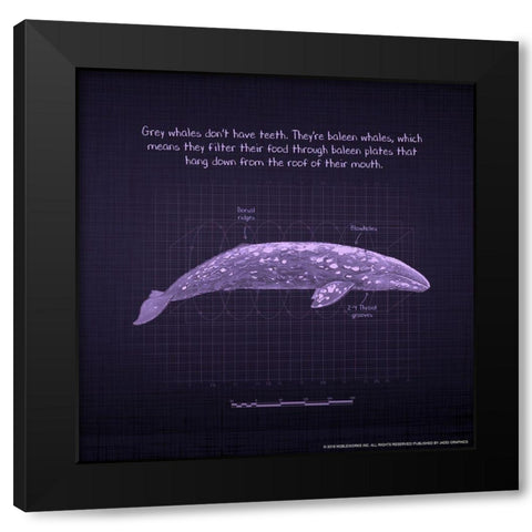 Whaleprint 2 Black Modern Wood Framed Art Print with Double Matting by Nobleworks, Inc.