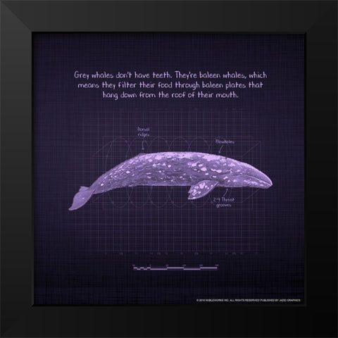 Whaleprint 2 Black Modern Wood Framed Art Print by Nobleworks, Inc.