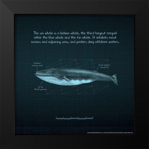 Whaleprint 3 Black Modern Wood Framed Art Print by Nobleworks, Inc.