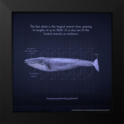 Whaleprint 4 Black Modern Wood Framed Art Print by Nobleworks, Inc.