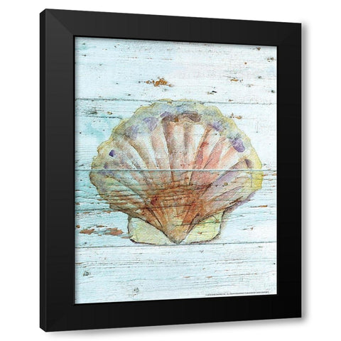 Seashell 1 Black Modern Wood Framed Art Print with Double Matting by Nobleworks, Inc.
