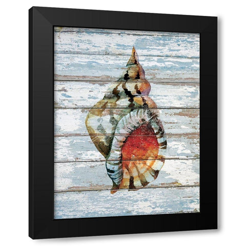 Seashell 2 Black Modern Wood Framed Art Print by Nobleworks, Inc.