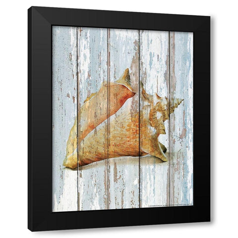 Seashell 3 Black Modern Wood Framed Art Print with Double Matting by Nobleworks, Inc.