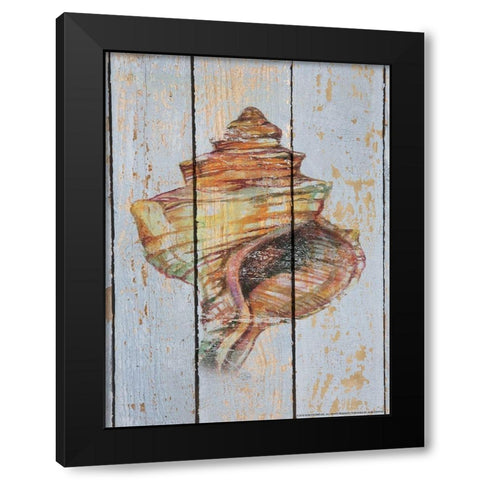 Seashell 4 Black Modern Wood Framed Art Print by Nobleworks, Inc.
