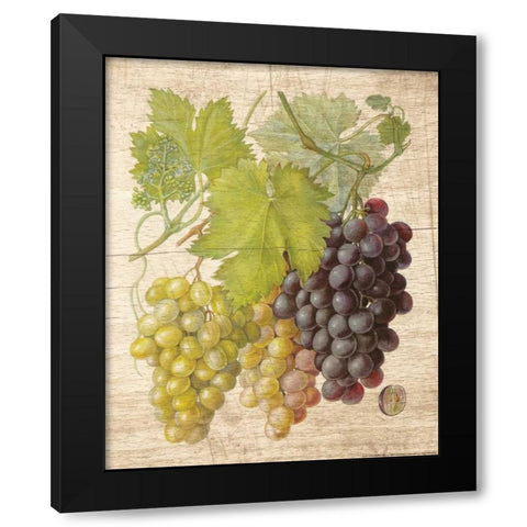 Grapevine 2 Black Modern Wood Framed Art Print by Nobleworks, Inc.