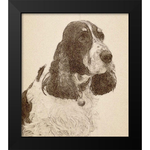 Dexter #2 Black Modern Wood Framed Art Print by Segal, Alan