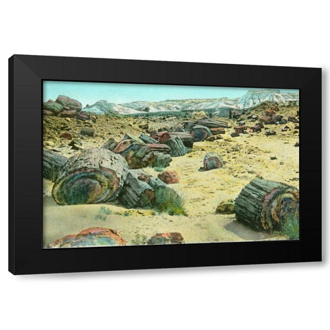 Petrified Forest Black Modern Wood Framed Art Print by Paul, Alan