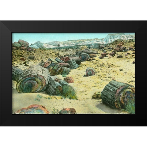 Petrified Forest Black Modern Wood Framed Art Print by Paul, Alan