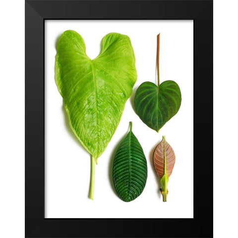 Cloud Forest Black Modern Wood Framed Art Print by Rosenthal, Barry