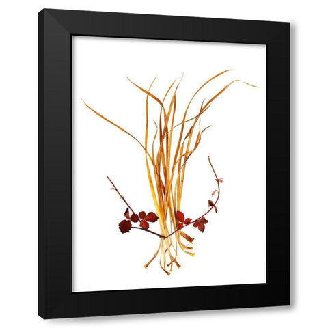 Straw And Rasberry Black Modern Wood Framed Art Print by Rosenthal, Barry