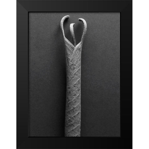 Mountain Leaves 2 Black Modern Wood Framed Art Print by Rosenthal, Barry