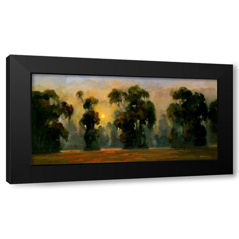 Sun Glint Black Modern Wood Framed Art Print with Double Matting by Stevens, Allayn