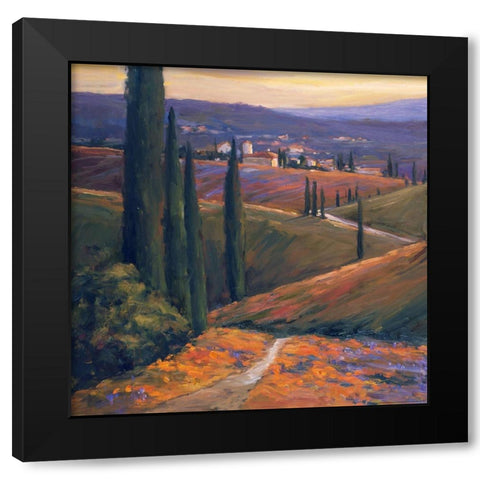Afternoon 1 Black Modern Wood Framed Art Print by Stevens, Allayn