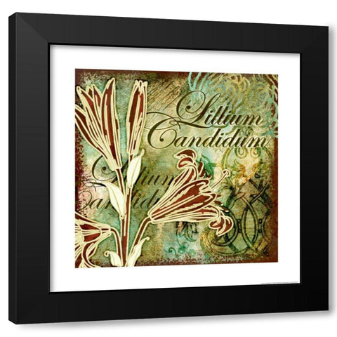 Lillies 2 Black Modern Wood Framed Art Print with Double Matting by Eisner, Viv