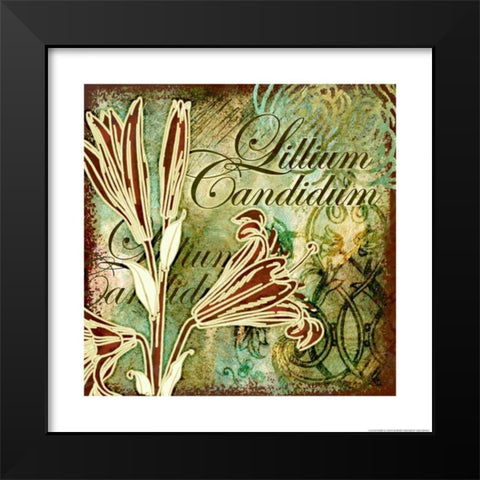 Lillies 2 Black Modern Wood Framed Art Print by Eisner, Viv