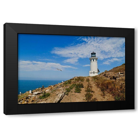 Anacapa Lighthouse Black Modern Wood Framed Art Print by Vizvary, Susan