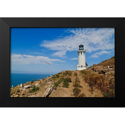 Anacapa Lighthouse Black Modern Wood Framed Art Print by Vizvary, Susan