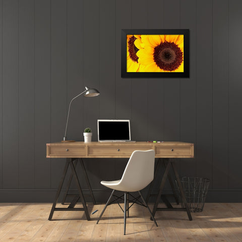 RT 66 Towing Black Modern Wood Framed Art Print by Vizvary, Susan