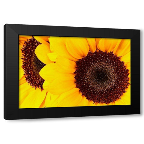 RT 66 Towing Black Modern Wood Framed Art Print with Double Matting by Vizvary, Susan