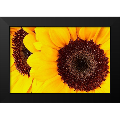 RT 66 Towing Black Modern Wood Framed Art Print by Vizvary, Susan